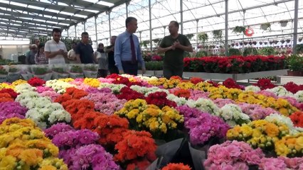 Kazdağları’nın Eteklerinde 750 Dönüm Arazide Süs Çiçeği Yetiştirilecek