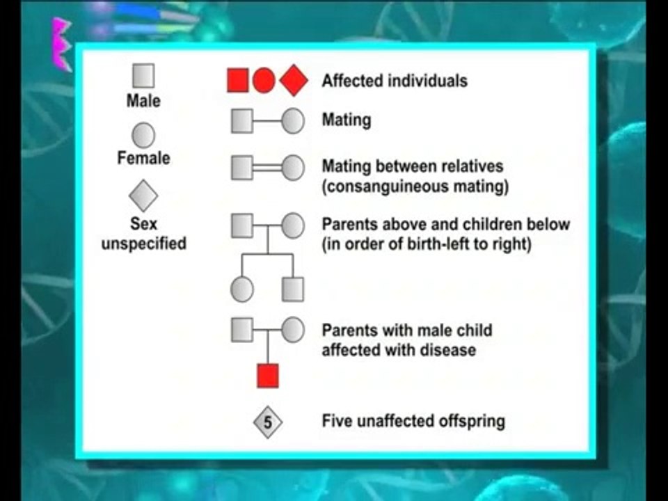 What is a mutation