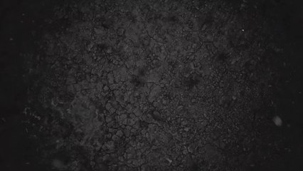 Top-5-smoker-grills-2019-Grillsforever