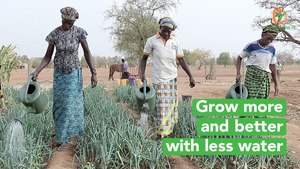 Burkina Faso: Grow more and better with less water