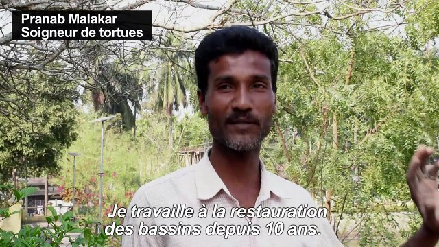 Un temple indien au secours de tortues éteintes