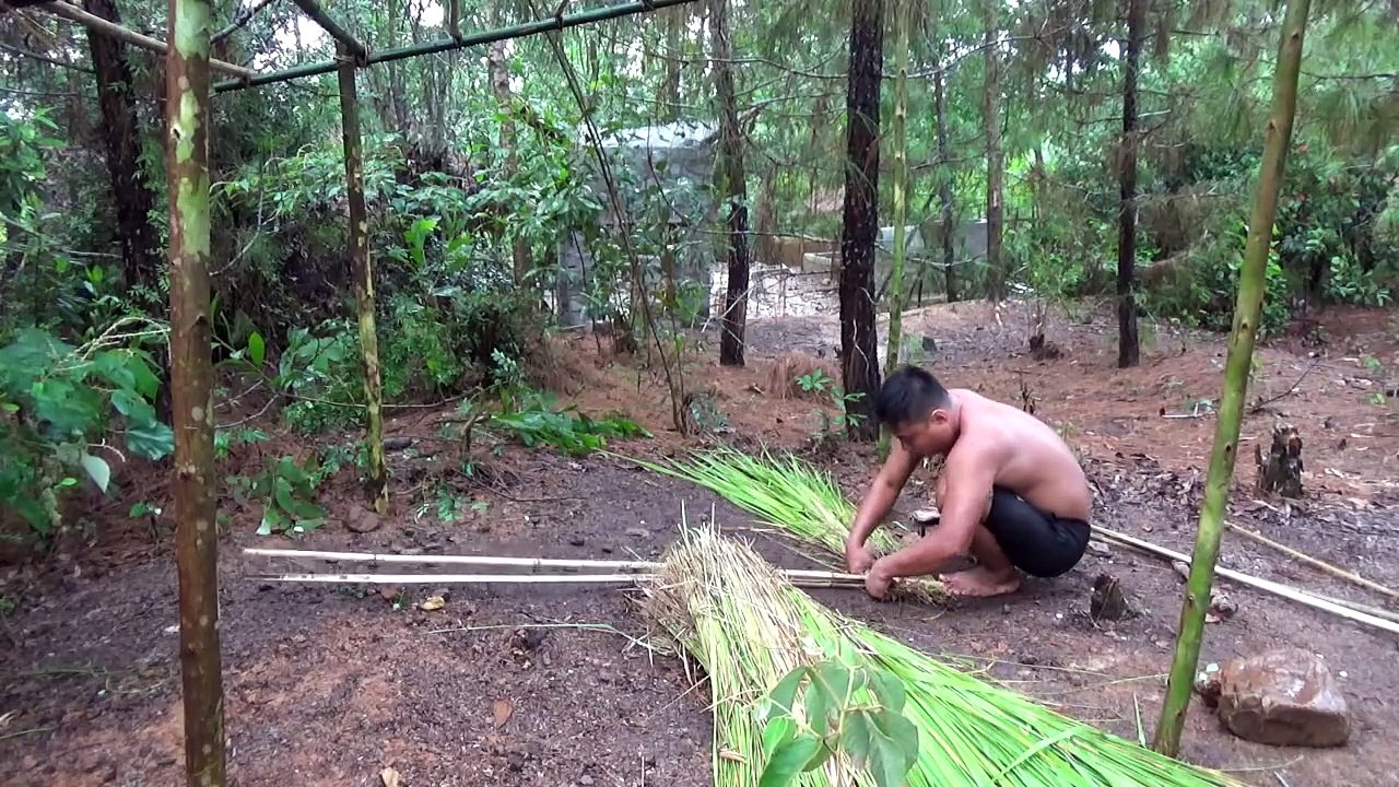 Primitive Life:Find Iron!