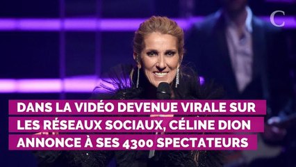 VIDEO. Céline Dion interrompt son concert... pour un fan victime d'une envie pressante !