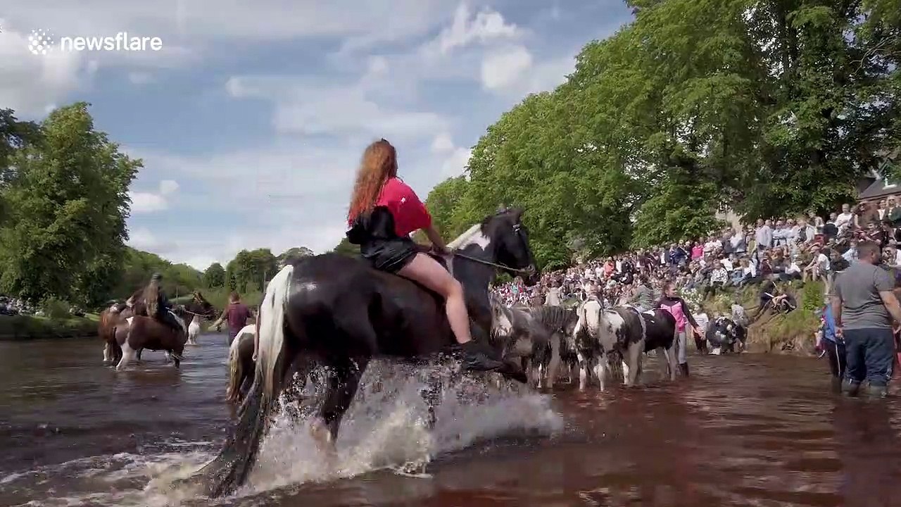 Travellers show off their impressive horses during annual Appleby fair