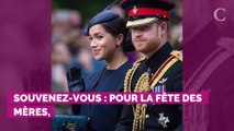 Meghan Markle et le prince Harry pourraient dévoiler une nouvelle photo de leur fils Archie pour la fête des pères