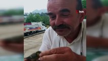 Rizeli hayvansever yavru kuşu elleriyle besledi