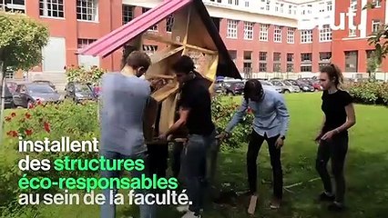 À Bobigny, des étudiants dynamisent la biodiversité de leur campus