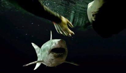 47 meters down: Uncaged - Official Trailer (HD)