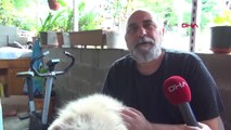 Zonguldak Köpekleriyle kavuşma anı gündem olan aile konuştu