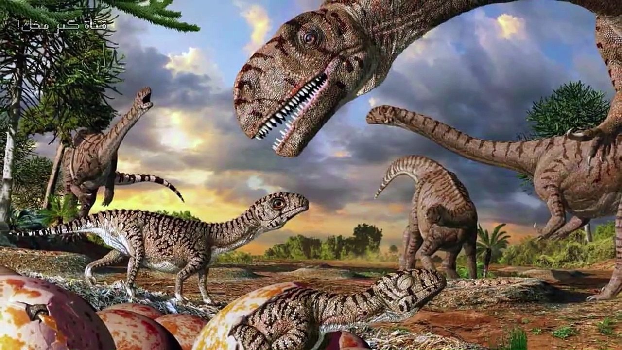 هل تعلم __ أقوى مخلوق على وجه الأرض... العلماء يظنون انه جاء من الفضاء الخارجي
