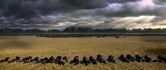 Alpha Movie Clip Hollywood 2018 English - Actors Jens Hulten - Director Albert Hughes