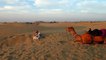 Jaisalmer: Camel ride and sunset in the Thar desert / tour en chameau et coucher de soleil / Kamelritt und Sonnenuntergang. UIN078718