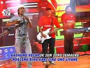 Dhani - Rehana [Official Music Video]