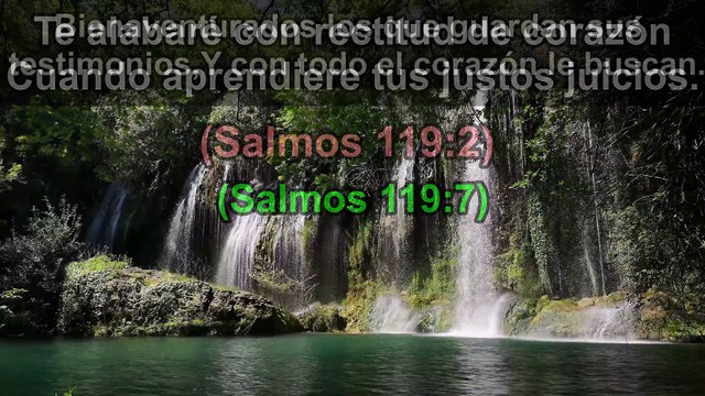 Versículos Bíblicos sobre el Corazón