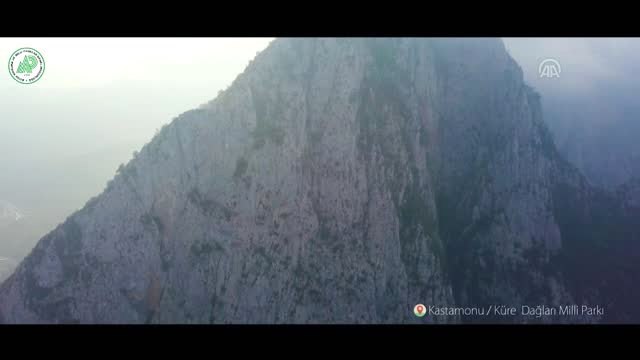 Küre Dağları Milli Parkı'na yeni sertifika