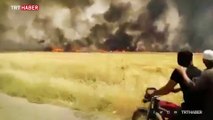 Terör örgütü YPG/PKK, tarım arazilerinde yangın çıkardı