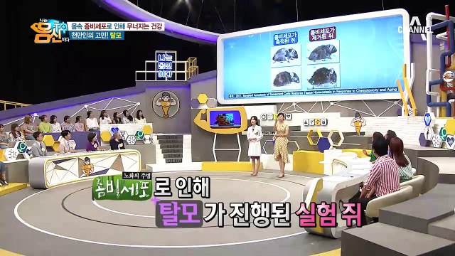 '노화의 주범' 좀비세포의 증상! 피부 노화&탈모&뼈 질환&만성 염증