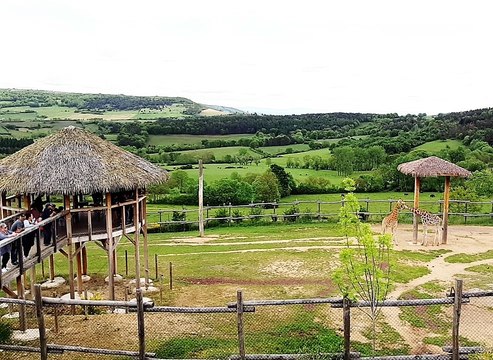 Découvrez l'Auvergne: Présentation du Parc animalier d'Auvergne d'Ardes sur Couze (63)