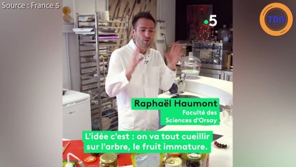 La sombre vérité derrière la production des olives noires !