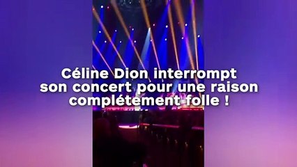 Céline Dion interrompt  son concert pour une raison complétement folle !