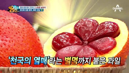 좀비세포 탈출을 돕는 낯선 붉은 과일! [객]은 ㅇㅇㅇ 성분이 풍부하다?!