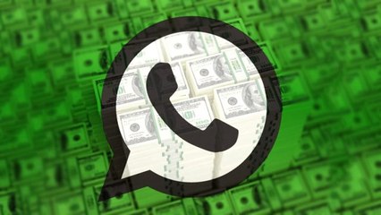 WhatsApp'ta hata bulan 22 Yaşındaki gence 5 bin dolar ödül verildi