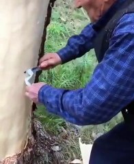 Ağaç Yiyen Dede-Old man ate tree