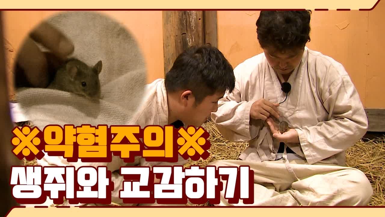 싫어하라고 일부러 넣어둔 생쥐 귀여워하는 전현무&조세호, 제작진들 일동 당황 | 렛츠...