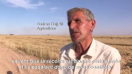 En Syrie, la bataille du blé fait rage entre régime et pouvoir kurdes