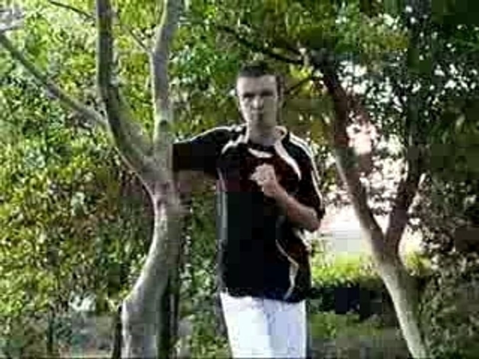 BABY COME BACK, DES WORLDS APART, PARODIE DES SCRUGBOYZ