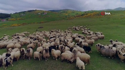 Hilmi Güler’den tarım atağı