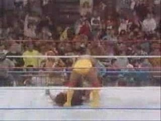 Undertaker vs hogan at survivor series