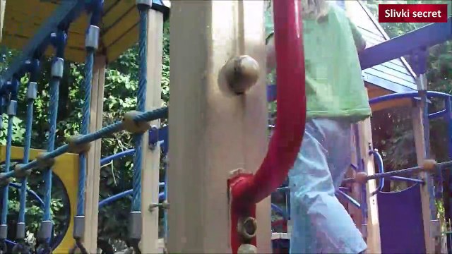 Кировоград - Кропивницкий, Дендропарк, качели, страусы, аттракционы, колесо обозрения Kirovograd - Kropyvnytskyi, Arboretum, swings, ostriches, rides, a ferris wheel