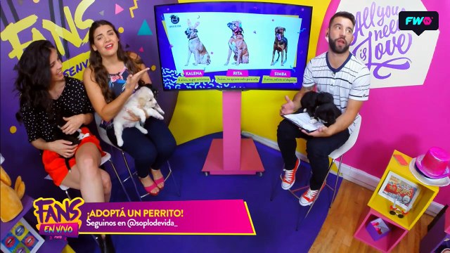 CORTE FEV #58 - Soplo de Vida