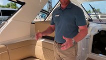 2019 Sea Ray 350 Sundancer For Sale at MarineMax Sarasota
