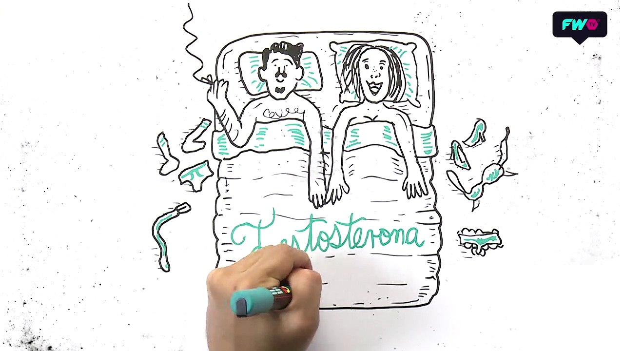 Calamaro dice que no se puede vivir del amor, pero...¿Qué es el amor?