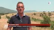 Italie : des millions de sauterelles ravagent les champs de Sardaigne