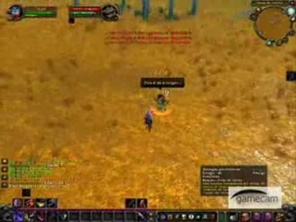 voleur wow