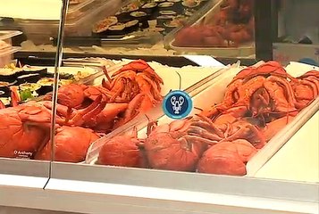 11 juin EBC Gaspesie gourmande Logo - topo web