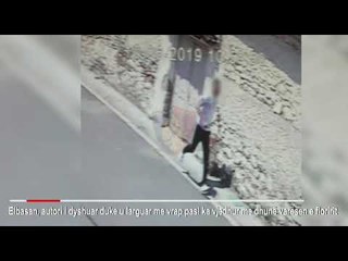 Vidhte me dhunë varëse floriri, kapet i riu