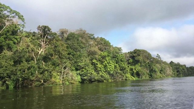 100619 ANTIBIOTIKET 19