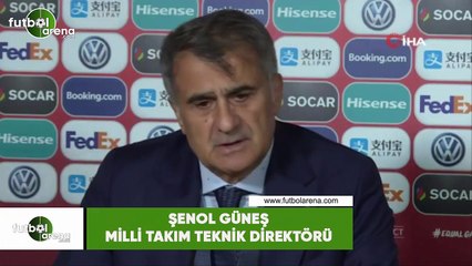 Şenol Güneş: "Hakan çalıştı ve gayret etti ama etkili olamadı, biz İzlanda'dan daha iyi takımız"
