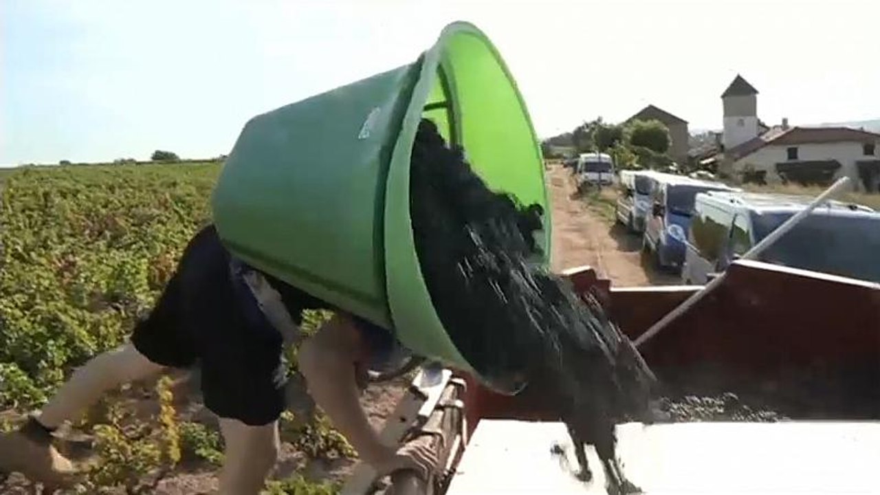 Trump nimmt sich Frankreichs Winzer zur Brust