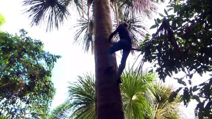 Peru impulsiona preservação da Amazônia