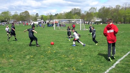 A Nature-Inspired Way to Blast Bugs without Harsh Chemicals