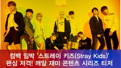스트레이키즈(Stray Kids), 팬들 위한 자체 콘텐츠 티저 공개 '꿀잼 예고'
