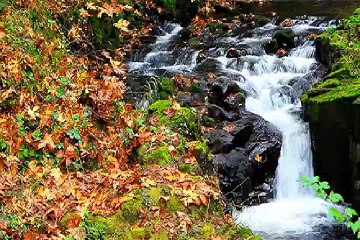 MVGEN: Hopalong Ginsberg : Leons Song