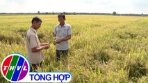 THVL | Nông thôn ngày nay: Vũng Liêm phát triển sản xuất nông nghiệp gắn với bảo vệ môi trường