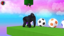Learn Animals Names And Shapes Names For Kids ## || monkey crossing coins game for toddlers