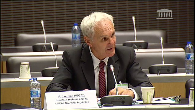 Impact des énergies renouvelables : Auditions diverses - Mardi 11 juin 2019